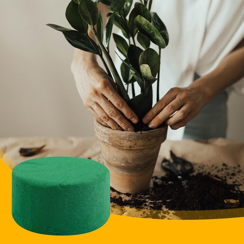 Lotsdonxia Lotsdonxia 6 Pcs Floral Foam Blocks C Foam Bricks