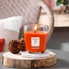 Nature's Wick Pumpkin Nutmeg Candle
