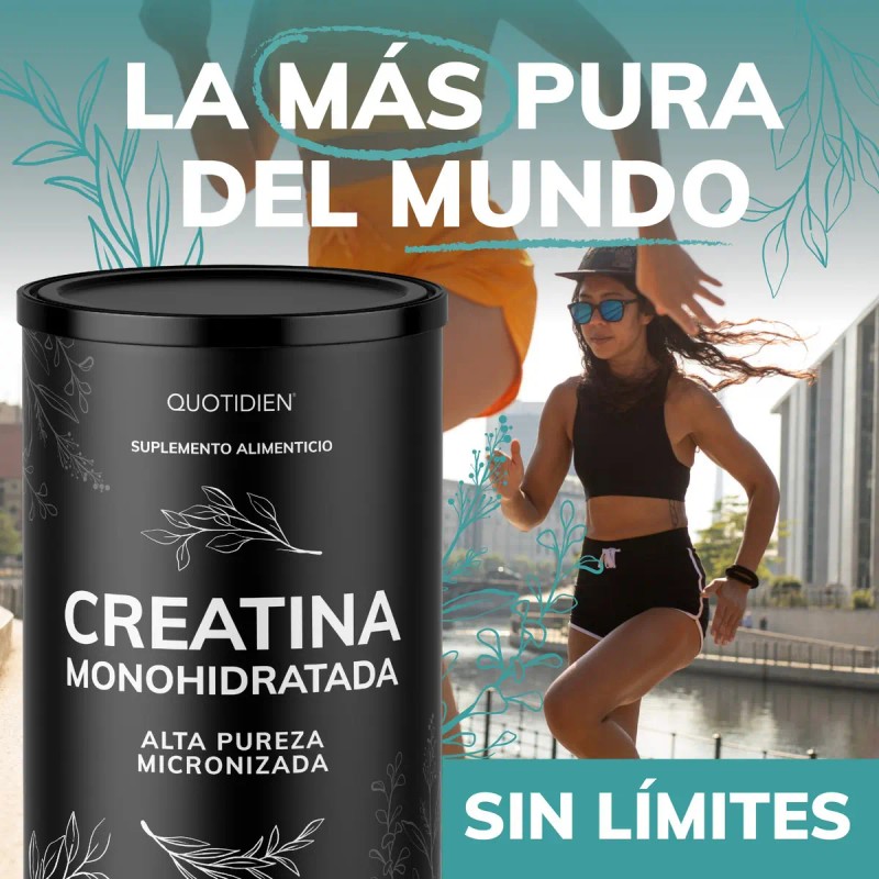Creatina Monohidratada Micronizada Polvo Quotidien Alta Pureza Certificada Scoop Dosificador