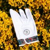 Skins Golf Gloves - Totally Unique Designs | AAA Cabretta