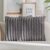 DEELAND Pack of 2,Double-Sided Faux Fur Plush Decorative Throw Pillow