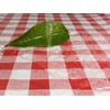 Picnic Table Cover Red Checkered Tablecloth Vinyl Checkered Tablecloth Italian