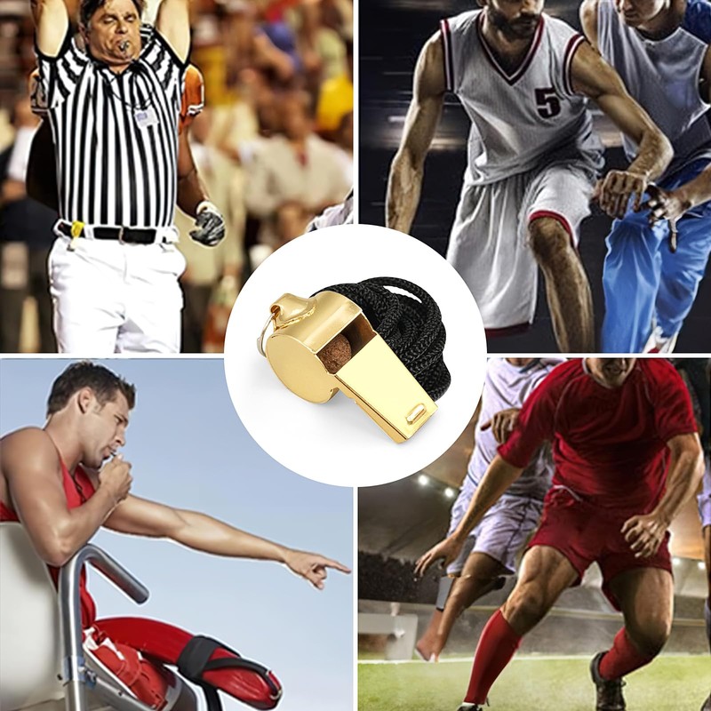 24 Pcs Stainless Steel Whistle, Sports Whistle with Lanyard, Extra