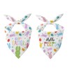 2 Pack Easter Dog Bandanas, Happy Easter Bunny and Egg
