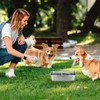 LemonRoad 6 Pcs 52 oz Stainless Steel Metal Dog Bowls