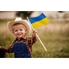 Ukraine Stick Flag 6x9IN 12 Pack Small Mini Ukrainian Handheld