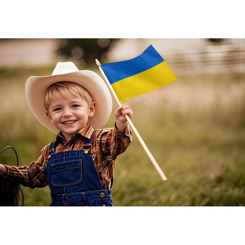 Ukraine Stick Flag 6x9IN 12 Pack Small Mini Ukrainian Handheld