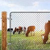 Insaga J Bolt Gate Hinge, 304 Stainless Steel Farm Gate