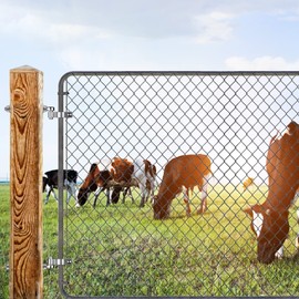 Insaga J Bolt Gate Hinge, 304 Stainless Steel Farm Gate Hinges, M12 x 8'' Gate Hinge Bolt 5/8'' for Chain Link Fence/Farm/Wooden Fence/Driveway, Supports up to 500lbs, 2pcs