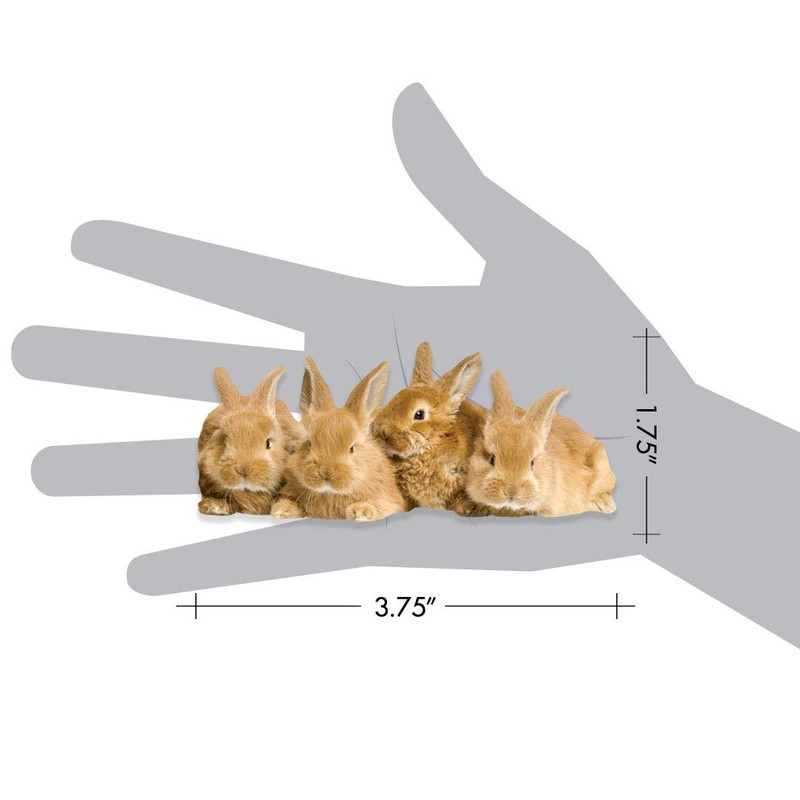 Paper House Productions 3.75" x 1.75" Die-Cut Sweet Bunnies Shaped