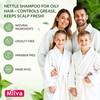 Nettle Shampoo – Helps Regulate Sebum Production, Reduce Dandruff &