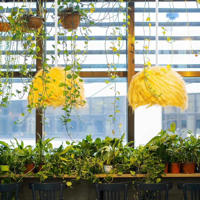 Jimosoon 20Ft Pendant Light Cord, White Plug in Hanging Lamp