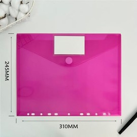MEISO 10 Bolsillos para Carpeta A4 Transparentes con Etiqueta en 5 Colores,Sobres de Plástico para Organizar Documentos, Escuela, Hogar u Oficina (5 C