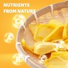 DARLAC FARMS Freeze Dried Jackfruit Bites, Pack 6, Premium Organic