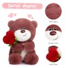 Bocguy Teddy Bear Plush, 28 cm Teddy Bear with Heart