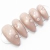 Toc!Toc!Toc!- Premium Almond / Toc! Toc! Toc! - 프리미엄 아몬드