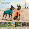Kickred 2 Pack Dog Shirts, Quick Dry Lightweight Dog T-Shirts