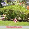 Sign with German Text "Hier bitte nicht!" [German Language] 180