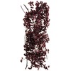 Daichi Farm DO003380-400 Preserved Flowers, Pepperberry Preserved, Purple, Approx. L