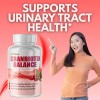 Pelican Vitamins Cranbiotix Balance- Gut & Urinary Tract Support- 2