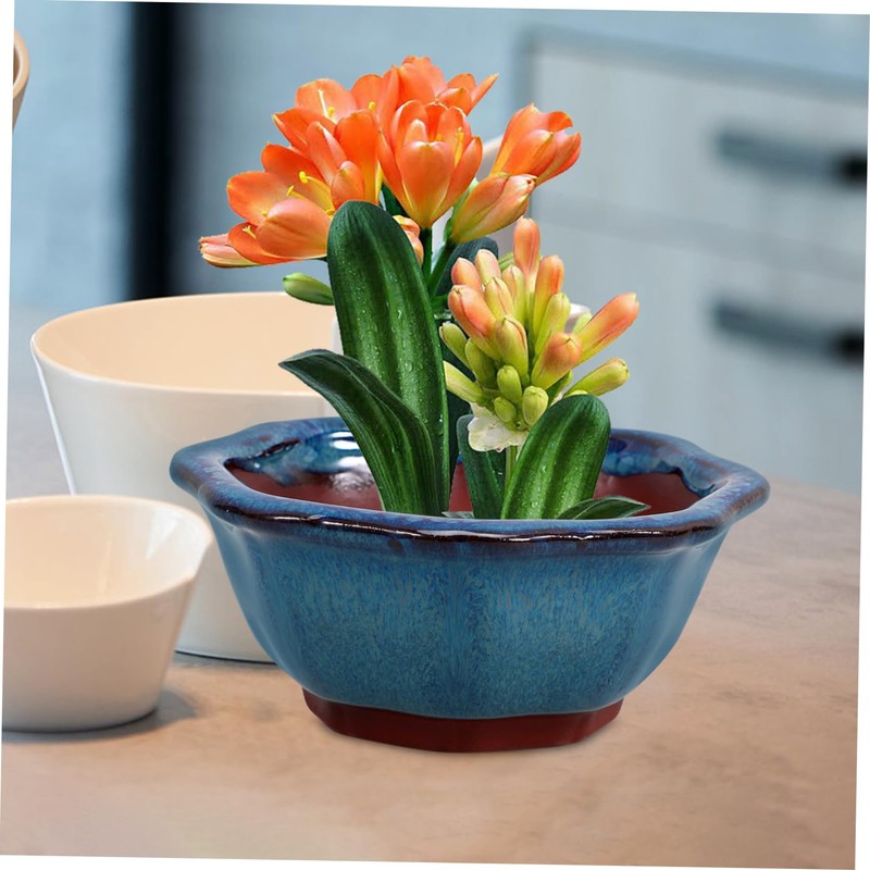 BESPORTBLE Ceramic Orchid Planter Pot Drainage Hole for Succulents Small