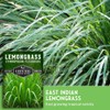 Semillas Zacate Limón Plantar Asiática Paquete