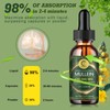 GPGP Greenpeople Mullein Leaf Extract Drops Support Lung Cleanse Immune