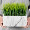 MyGift 10 Inch Artificial Green Grass Plant in Rectangular White