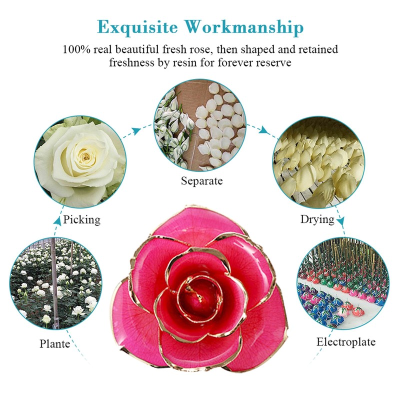 Long Stem Dipped 24k Gold Rose in Gift Box with