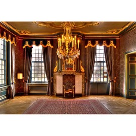 YongFoto 3 x 2 m Photo Background Castle Luxury Palace Fireplace Droplight French Sash Carpet Vintage Curtain European Architecture Interior Photography Background Photo Children Wedding Photo Studio