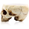 RMM Dulcero O Macetero De Resina Con Diseño De Calavera