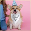 Happy Birthday Dad Dog Bandana Pet Triangle Scarf for Large