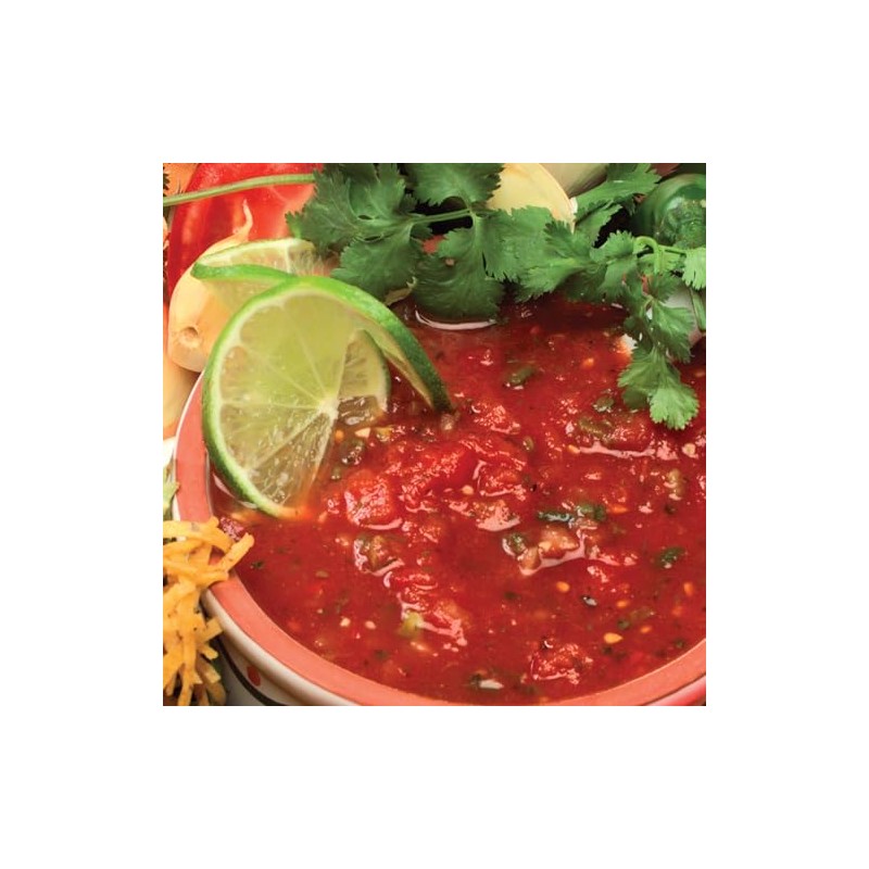 Hi Mountain Seasonings - SALSA SEASONING MIX. Create Delicious Homemade