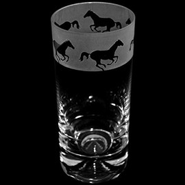 Animo Glass Galloping Highball Drinking Glass