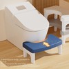 Brrnoo Potty en Cuclillas, Taburete de Inodoro Azul, Silla de