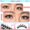 Fyonas Lash Clusters Wispy Cluster Eyelash Extensions 10-16mm Natural Eyelash