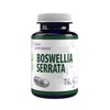 Boswellia Serrata (Indian Frankincense) 10:1 Extract 5000mg Equivalent 120 Vegan