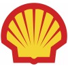 SHELL OIL RACING DECAL STICKER TRUCK HELMET VEHICLE WINDOW WALL CAR 4"
