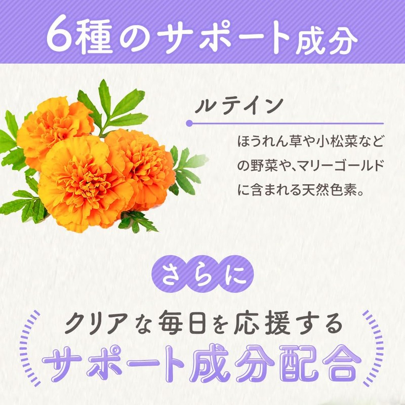 ogaland 犬 目 サプリ アイケア 90粒 約45日分 サプリメント ルテイン ビルベリー
