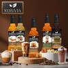 Caramel Pecan Syrup by Syruvia 6-Pack, 25.4 fl oz, Wholesale