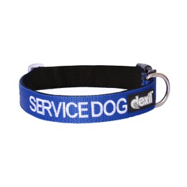 Service Dog Blue Color Coded S-M L-XL Buckle Dog Collar (Do Not Disturb) Prevents Accidents by Warning Others of Your Dog in Advance (L-XL Collar 15-25" Lx1.5 W)