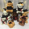 Little Bear Plush Doll with Gown Cap Diploma Bear Stuffed