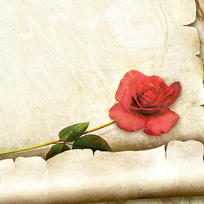 TATMOTIVE Red Rose Letter Paper Set for Love Letters (25