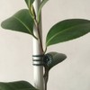 Vtete 20 Pcs Large and 50 Pcs Small Daisy Orchids