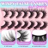 Losha Lashes Wispy False Eyelashes C Curl Cat Eye Lashes