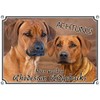 Petsigns Rhodesian Ridgeback - Dog Sign - Warning Sign -