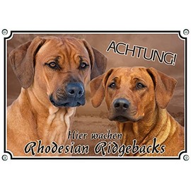 Petsigns Rhodesian Ridgeback - Dog Sign - Warning Sign - Solid Metal Sign, DIN A4