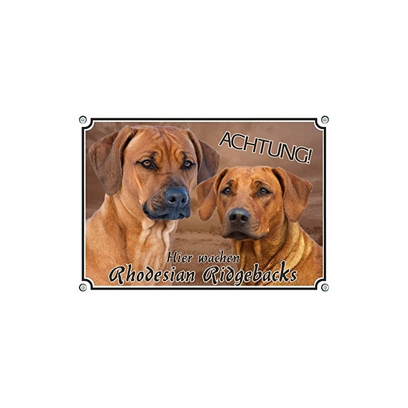 Petsigns Rhodesian Ridgeback - Dog Sign - Warning Sign -