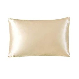 Waterlily 100% Mulberry Silk Pillowcase for Hair and Skin Envelope Pillowcases 50x75 Both Sides 19 Momme Charmeuse Soft Pure Natural Organic Luxury Pillow Case Cover (2, Cream)