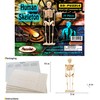 Puzzled 3D Puzzle Human Skeleton Wood Craft Construction Model Kit,